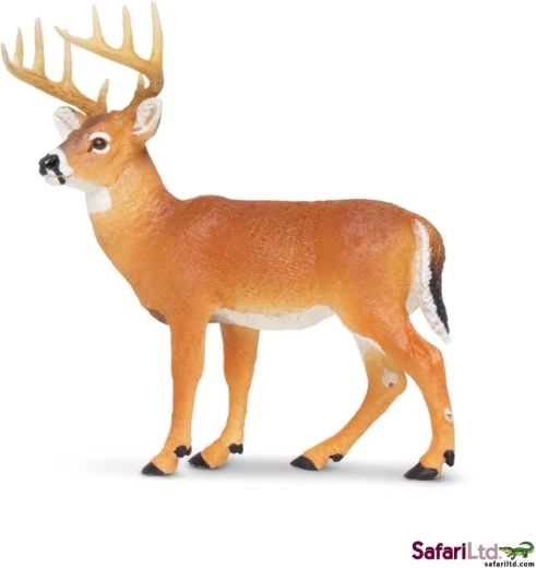 Jeleń wirginijski Safari Ltd.