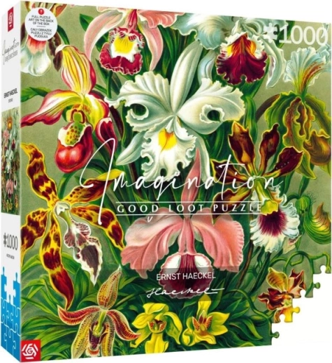 puzzle Imagination: Ernst Haeckel – orchidee, 1000 elementów