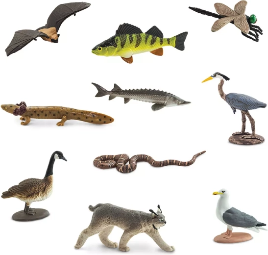 10 miniatur zwierząt z obszaru Wielkich Jezior