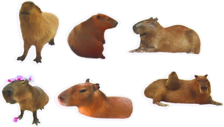 Większy format 6–7 cm dla efektownego zdobienia