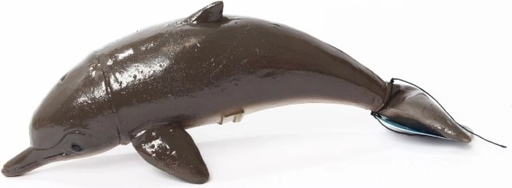 Delfin 21 cm