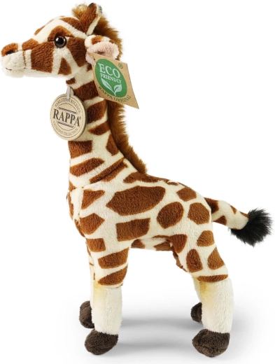 Przyjazna dla środowiska