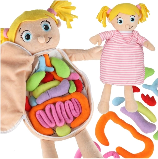 Pluszowa anatomiczna lalka Montessori dla dzieci