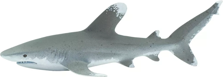 Figurka żarłacza białopłetwego oceanicznego Safari Ltd. – 1 sztuka