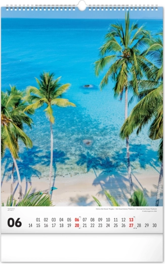 Przejrzyste miesięczne kalendarium