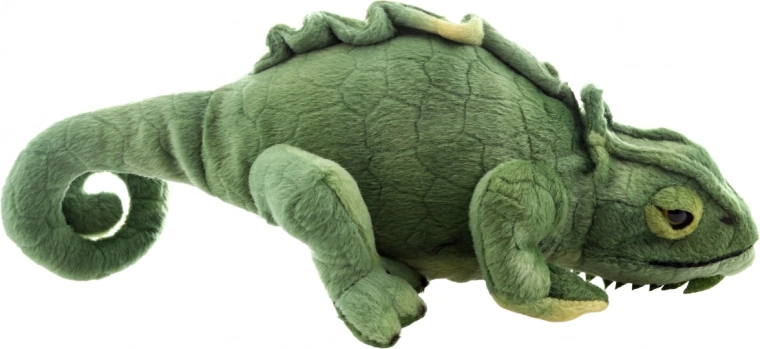 Realistyczny wygląd kameleona