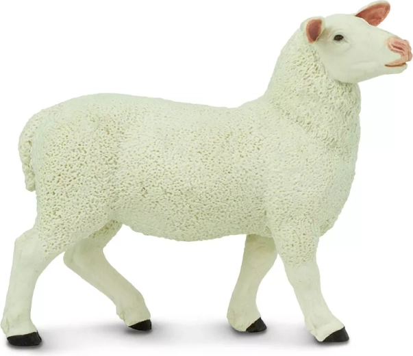 Safari Ltd. figurka owieczki - 1 szt.