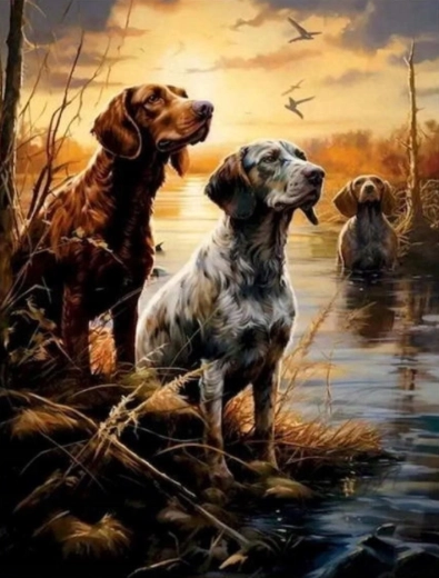 Malowanie po numerach Psy na mokradłach 40 × 50 cm NORIMPEX