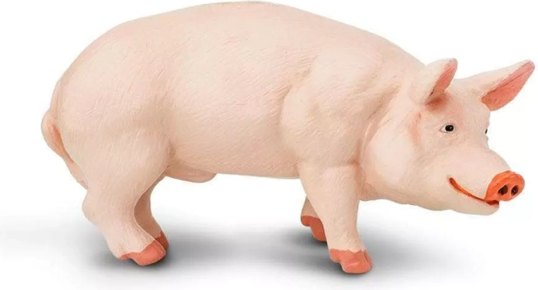 Figurka prosiątka (świnia domowa) Safari Ltd.