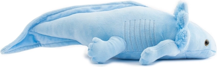 Realistyczne detale aksolotla