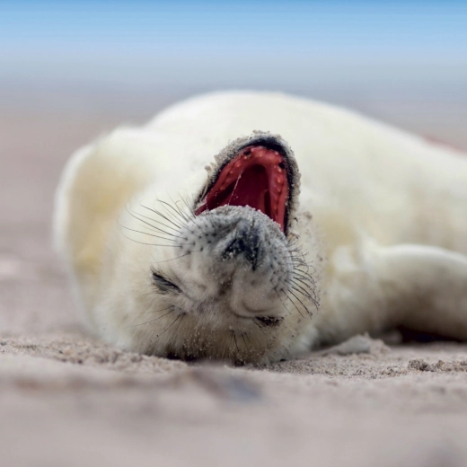 Dużo miejsca na notatki każdego dnia