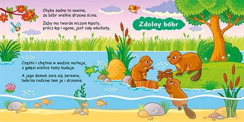 Nasze rymy lubimy – jezioro