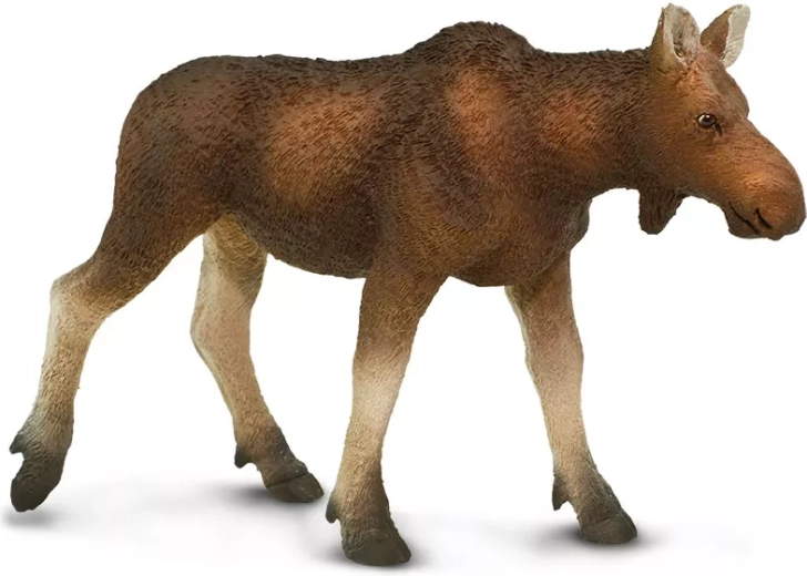 Safari Ltd. figurka samicy łosia europejskiego - 1 szt.