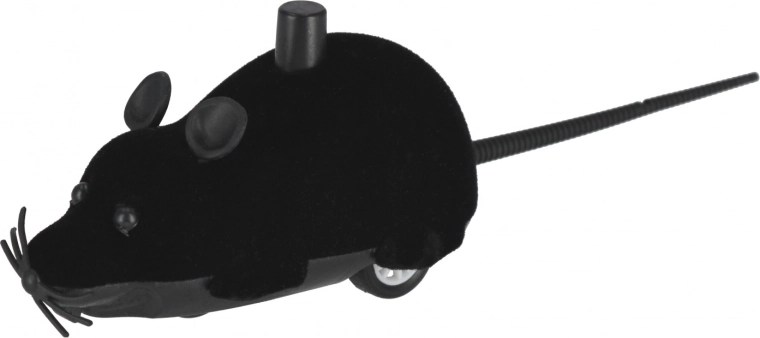 Zabawa w różnych kolorach