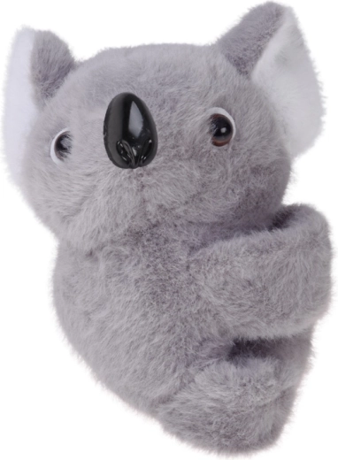 Miękka i urocza koala