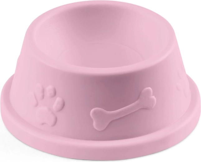 Miska dla pieska i akcesoria do pielęgnacji