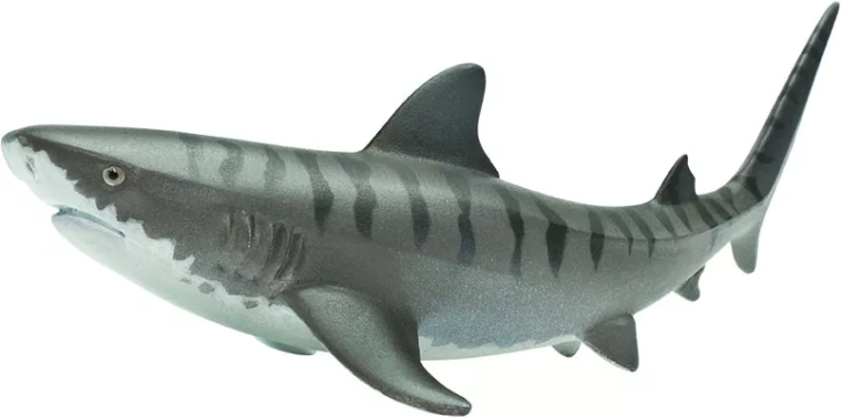 Safari Ltd. żarłacz tygrysi figurka - 1 sztuka