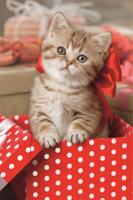 Puzzle TREFL urocze kociątko 54 elementów