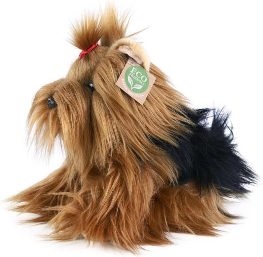 Miękki yorkshire terrier