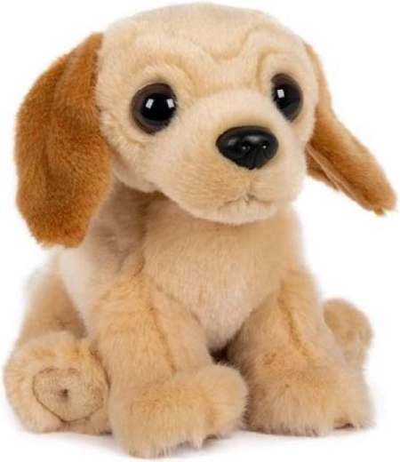 Pluszowy labrador siedzący 15 × 17 cm
