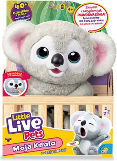 Little Live Pets moje małe koala Kiki