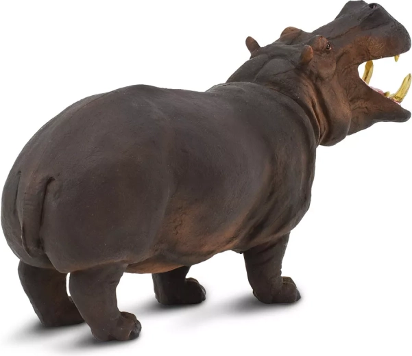 Nauka przez zabawę z Safari Ltd.