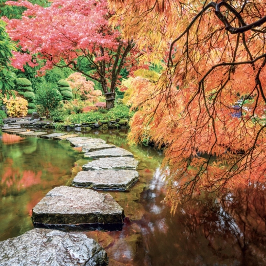 Imponujące fotografie ogrodów w najwyższej jakości