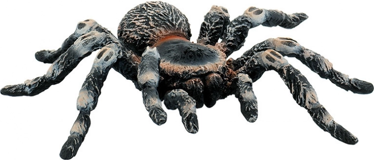 Biała tarantula