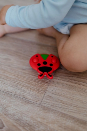 Kręć, ściskaj, odkrywaj