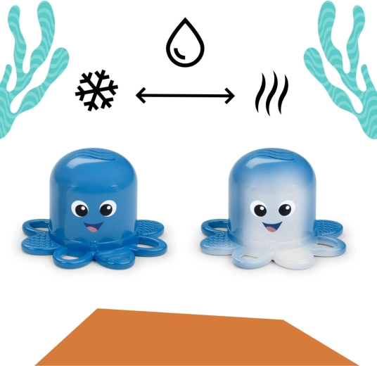 Ośmiorniczka Opus zmienia kolor