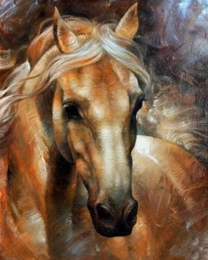 Norimpex malowanie po numerach portret konia 40 × 50 cm
