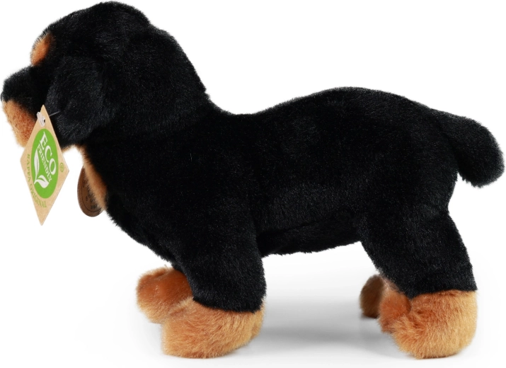 Część RAPPA Exclusive Collection