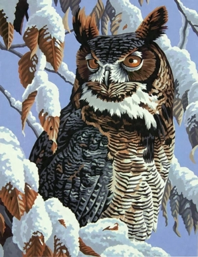 Norimpex Malowanie po numerach Sowa na ośnieżonej gałęzi 40 × 50 cm