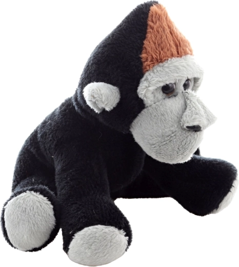 Urocze detale i przyjazny wyraz