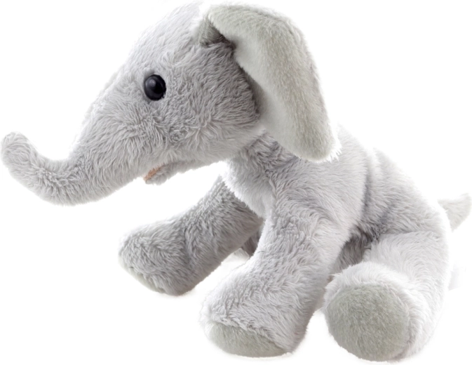 Kompaktowy rozmiar 15 cm