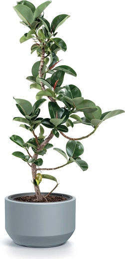 Wytrzymały materiał do użytku na zewnątrz i wewnątrz