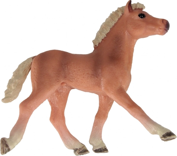 Trzy atrakcyjne warianty