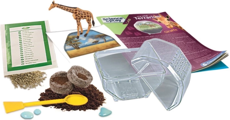 Stwórz własny mini ekosystem