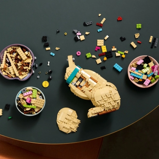 Zabawa z budowania z pomocą instrukcji 3D