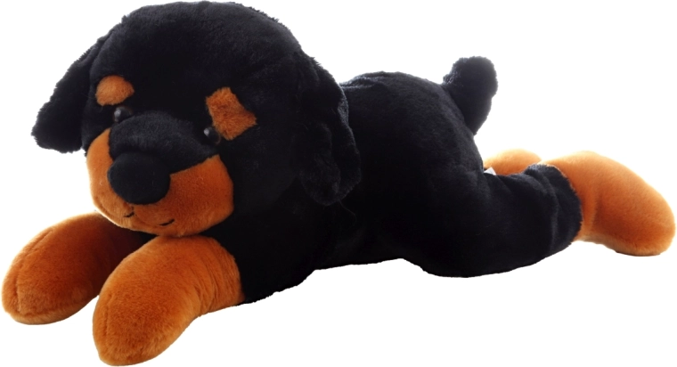 Bezpieczny dla najmłodszych (0+)