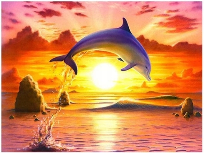 Norimpex Malowanie po numerach Skaczący delfin o zachodzie słońca 40 × 50 cm
