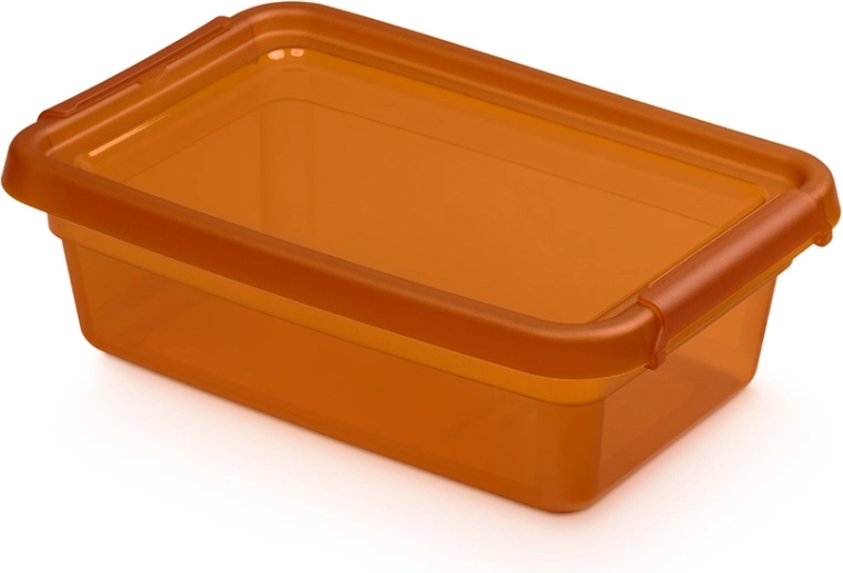 Basestore pojemnik do przechowywania z pokrywką i klipsami amber 3 l (19 × 28 × 9 cm)