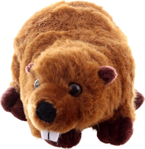 Realistyczne detale i uroczy wygląd