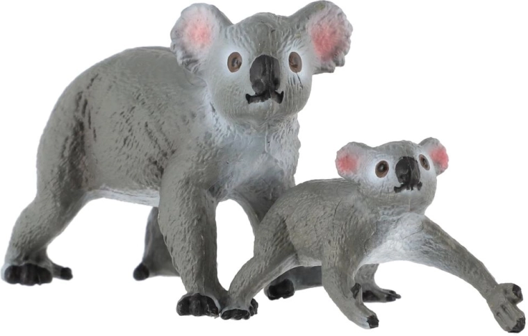 Koala z młodym