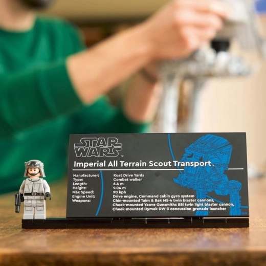 Kolekcjonerski display z tabliczką i minifigurką