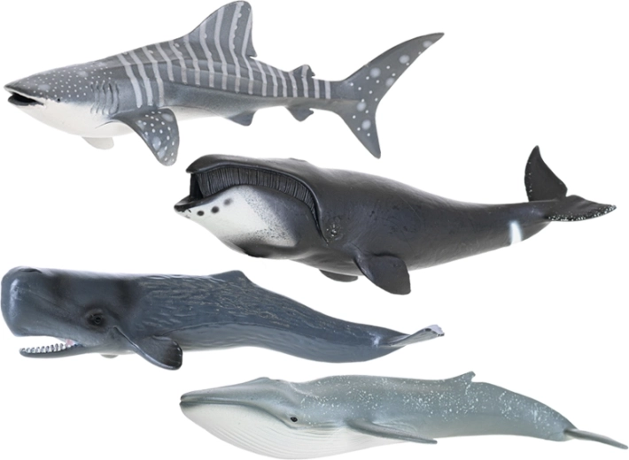 Wytrzymałe wykonanie z plastiku