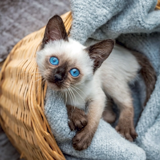 Przejrzystość i miejsce na każdy dzień