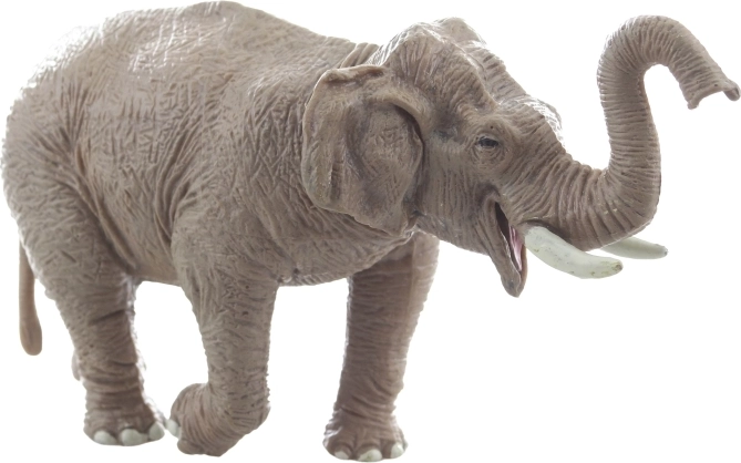 Trwała i stabilna konstrukcja