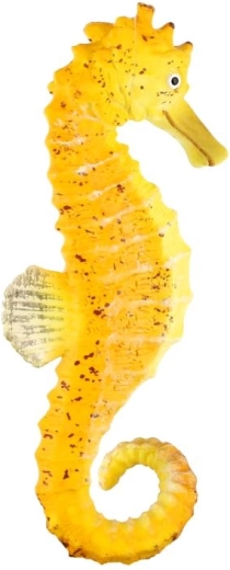 Kompaktowy rozmiar 8 cm