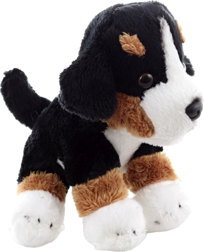 Lekki i poręczny towarzysz